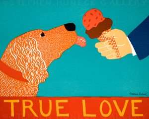 True Love - Poster