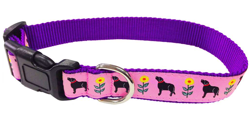 Flower Power - Pet Collar