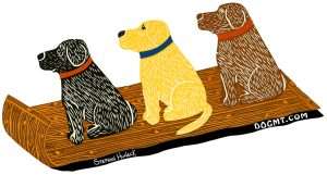 Sled Dogs - Sticker Decal