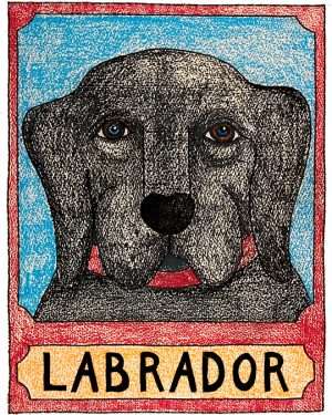Black Lab - Crayon Print