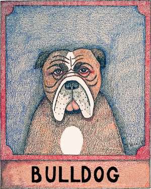Bulldog - Crayon Print