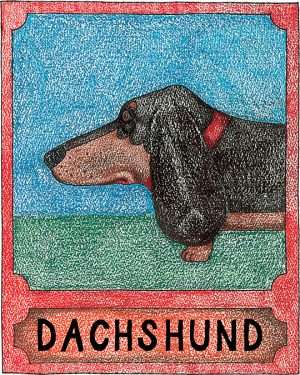 Dachshund - Crayon Print