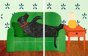Dog Bed - Diptych Print