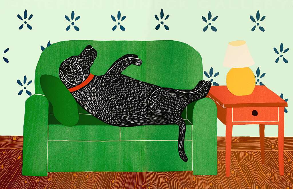 Dog Bed - Full Edition Print