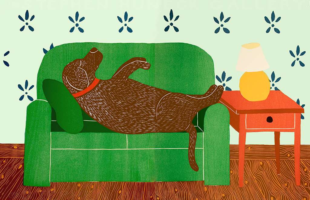 Dog Bed - Full Edition Print