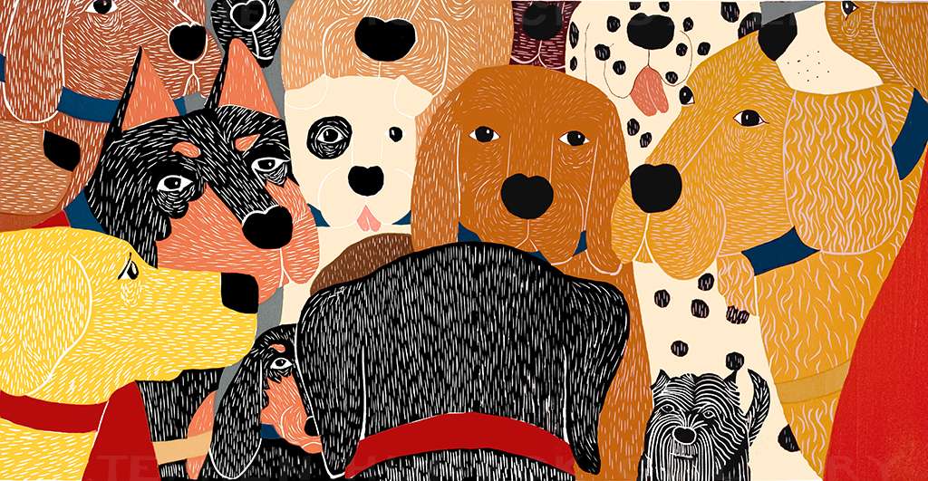 Dog Meeting - Full Edition Print