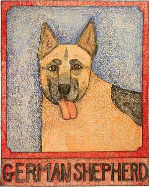 German Shepherd - Crayon Print