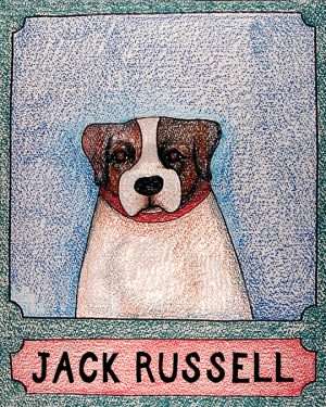 Jack Russell - Crayon Print