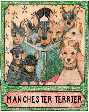 Manchester Terrier - Crayon Print