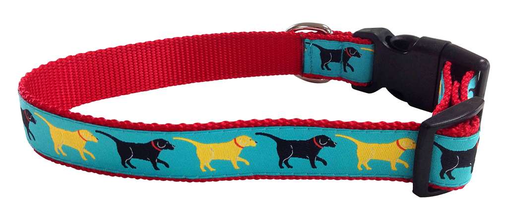 Greetings - Pet Collar