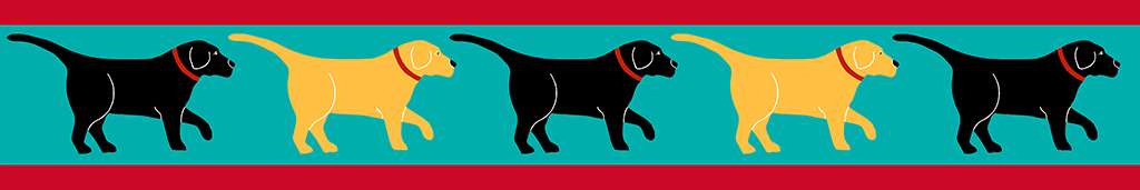 Greetings - Pet Collar