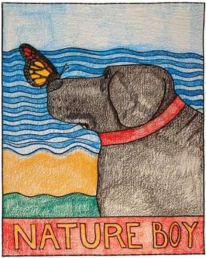 Nature Boy - Crayon Giclee