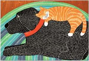 Catnap - Mat