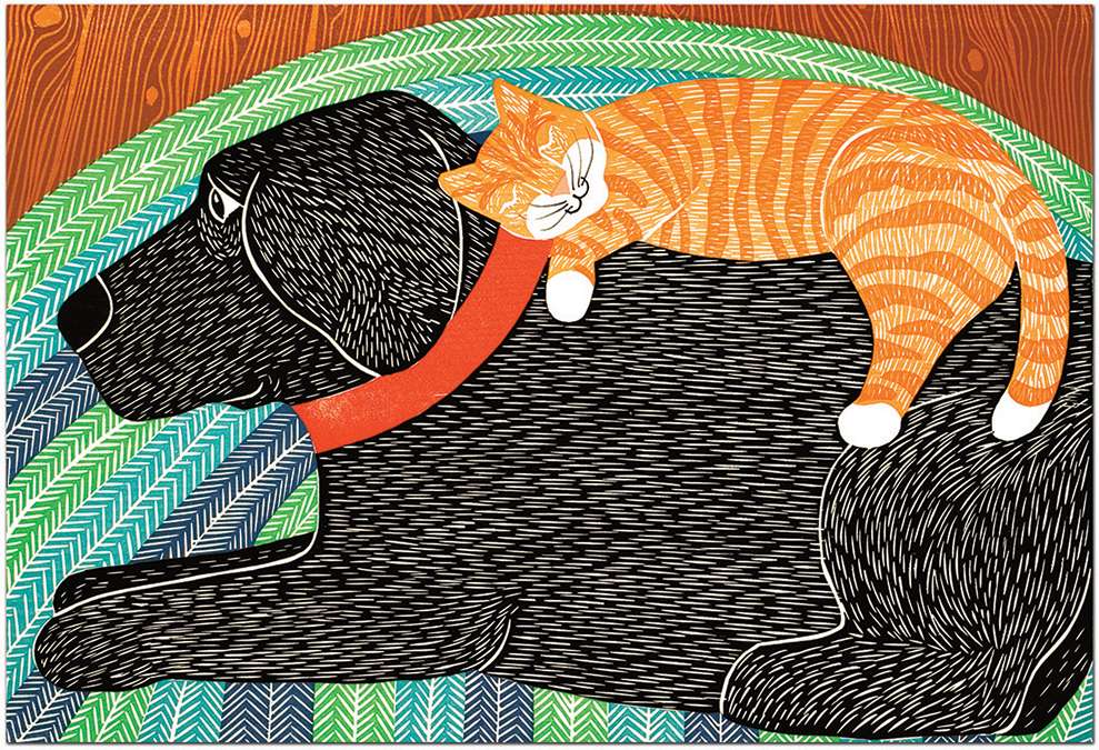 Catnap - Mat