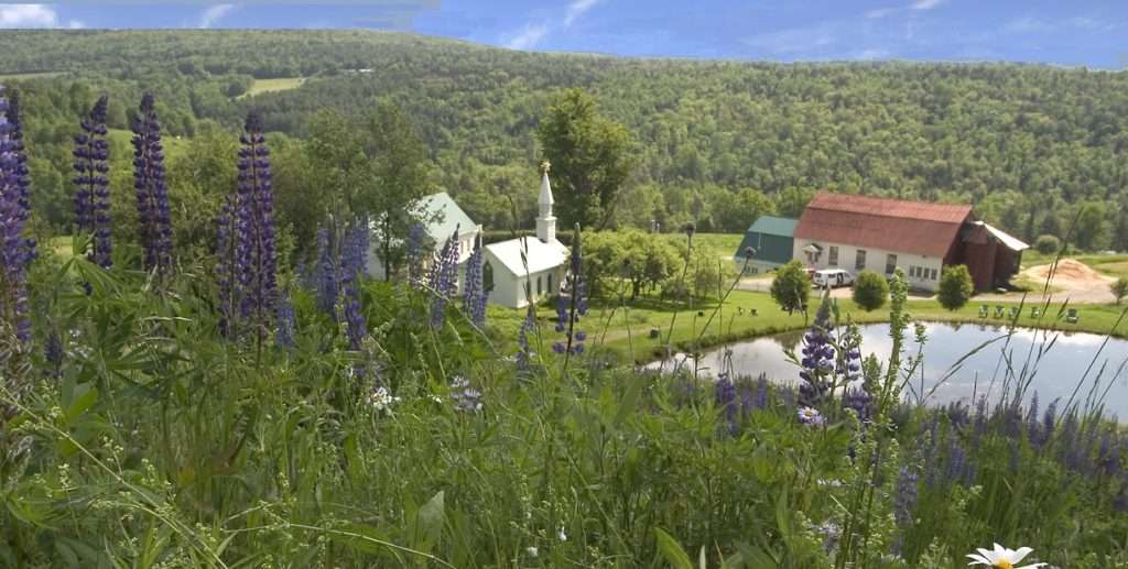 A view from the top of a wildflower covered hill looking down on Dog Mt campus with chapel and gallery