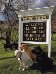 Three dogs sitting under a sign that states: "Welcome All Creeds, All Breeds, No Dogmas Allowed"