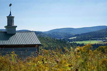 Rolling hills and the top of the Stephen Huneck gallery on a sunny day