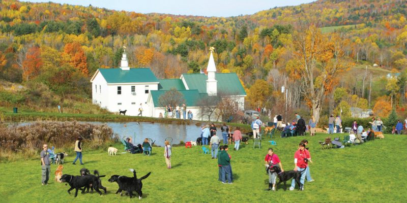 Fall Dog Party at Dog Mountain