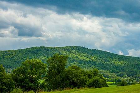 A field with trees on the edige and green hills in the background