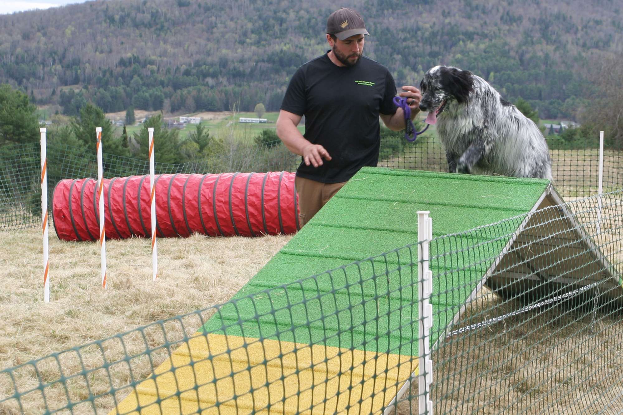 Dog playing on an agility course at Dog Mountain