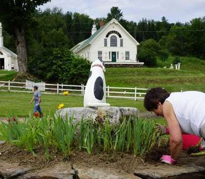 volunteers gardening