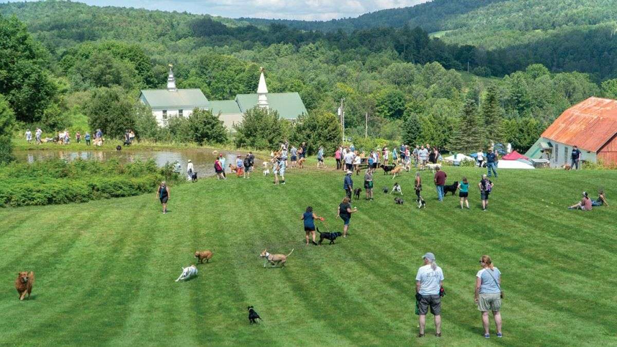 Dog Mountain grounds