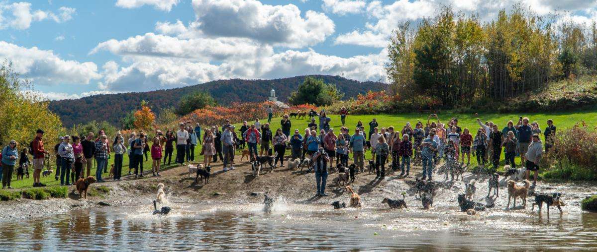 Fall by Dog Pond