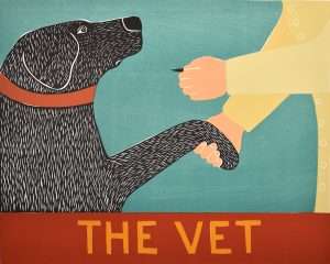 The-Vet-BLK