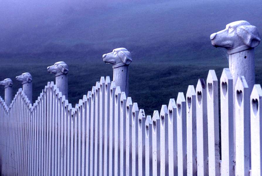 Heart Fence