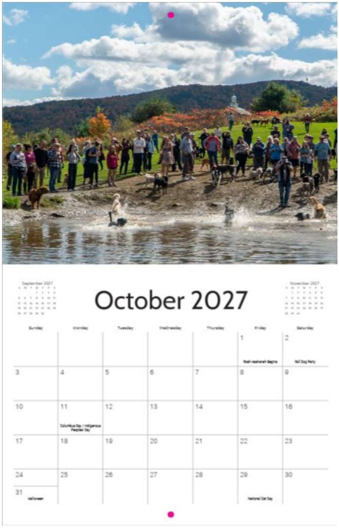 2027 Dog Mountain Calendar - Image 11